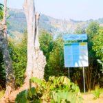 Gushyigikira ubukerarugendo burambye I Rwiri