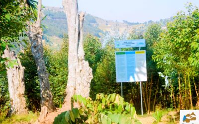 Gushyigikira ubukerarugendo burambye I Rwiri