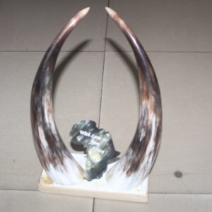 Africa Horn